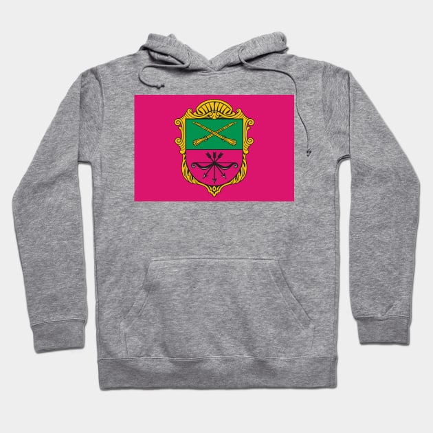 Flag of Zaporizhzhia Ukraine Hoodie by brigadeiro